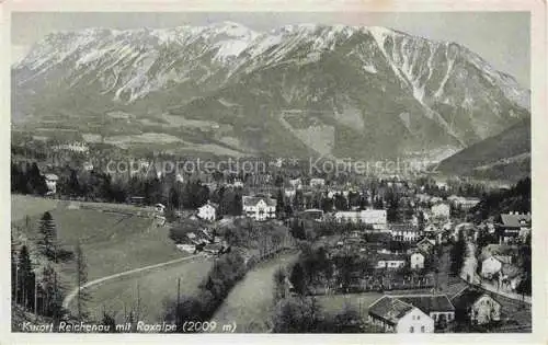 AK / Ansichtskarte  Reichenau Rax Niederoesterreich AT Panorama Kurort mit Raxalpe