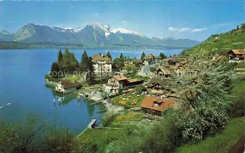 AK / Ansichtskarte  Gunten Thunersee BE Panorama Blick gegen Stockhornkette