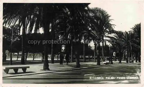 AK / Ansichtskarte  Palma de Mallorca ES Paseo Sagrera