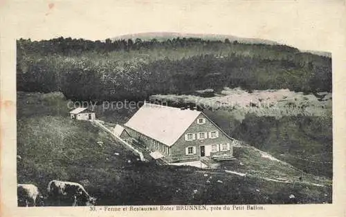 AK / Ansichtskarte  Soultz Elsass Sulz Guebwiller 68 Haut-Rhin Ferme et Restaurant Roter Brunnen près du Petit Ballon