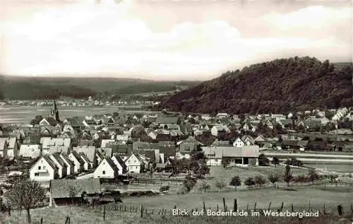 AK / Ansichtskarte  Bodenfelde Panorama