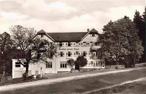 AK / Ansichtskarte  FREUDENSTADT Gasthof und Kurhaus Zum gruenen Baum