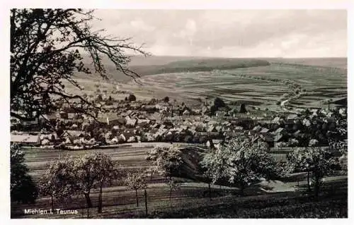 AK / Ansichtskarte  Miehlen Taunus Panorama