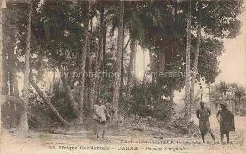 AK / Ansichtskarte  DAKAR Senegal Paysage Sénégalais