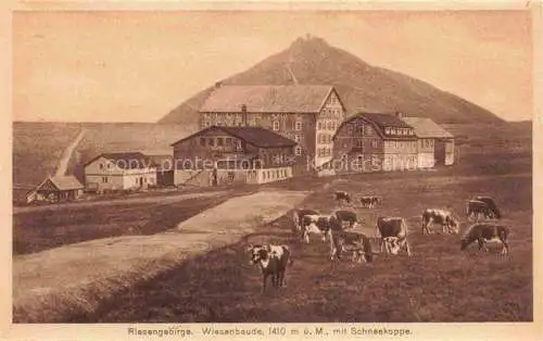 AK / Ansichtskarte  Wiesenbaude 1400m Riesengebirge CZ Bergbaude mit Schneekoppe