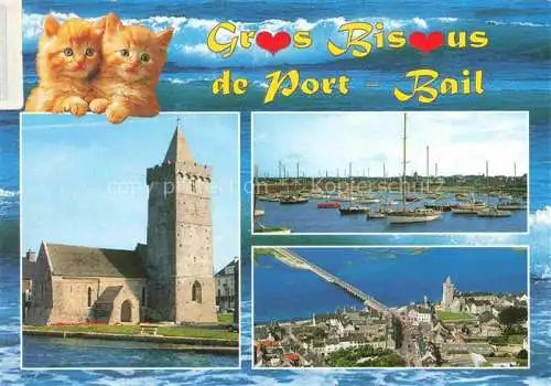 AK / Ansichtskarte  Port-Bail Portbail Cherbourg 50 Manche Kirche Hafen Luftaufnahme Junge Katzen