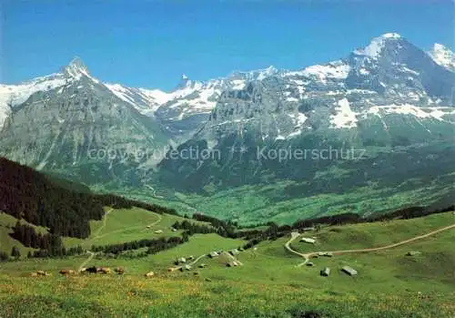 AK / Ansichtskarte  Grindelwald BE Panorama Bussalp Blick gegen Schreckhorn Finsteraarhorn Eiger Moench Berner Alpen