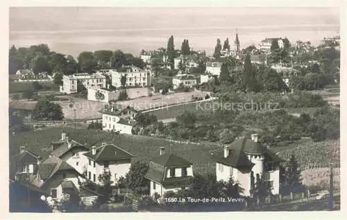 AK / Ansichtskarte  La Tour-de-Peilz VD Panorama