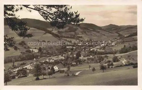 AK / Ansichtskarte  Busin Buschin Sumperk Maehrisch Schoenberg CZ Panorama