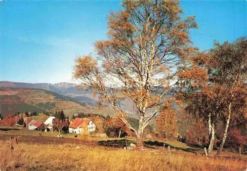 AK / Ansichtskarte  Landersen Sondernach Ferme Restaurant Pension Bessey en automn