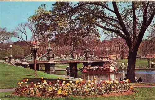 AK / Ansichtskarte  Boston Massachusetts USA Public Garden and swanboat