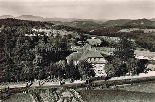 AK / Ansichtskarte  Elzach Triberg Schwarzwald BW Hoehengasthaus Heidburg und Berghotel Roter Buehl