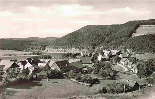 AK / Ansichtskarte  Heringhausen Diemelsee Waldeck Hessen Panorama