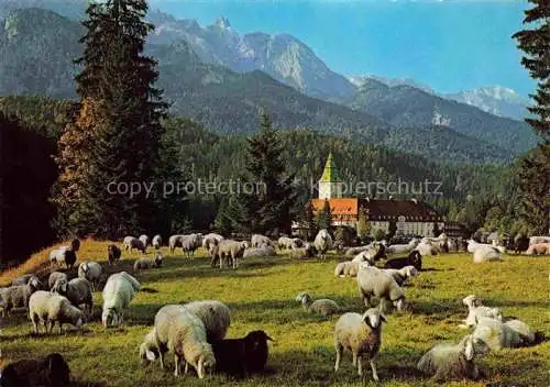 AK / Ansichtskarte  Schaeferei Sheperding Bergerie-- Post Klais Oberbayern Schloss Elmau