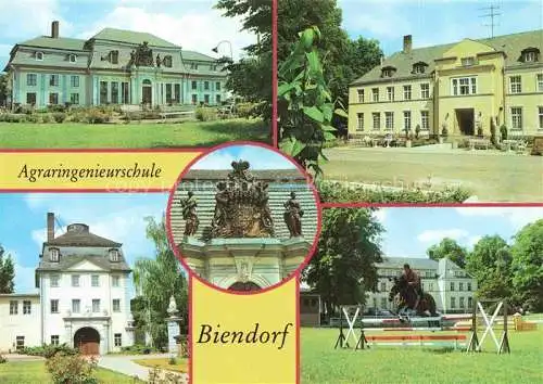 AK / Ansichtskarte  Biendorf Bernburg Orangerie Internat 18. Jhdt. Hauptgebaeude Allianzwappen Turmgebaeude Reitplatz