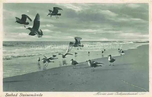 AK / Ansichtskarte  Swinemuende SWINOUJSCIE PL Moewen am Strand