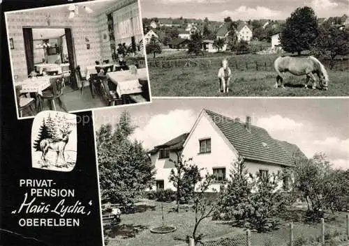 AK / Ansichtskarte  Oberelben Nuembrecht NRW Pension Haus Lydia Gaststube Panorama