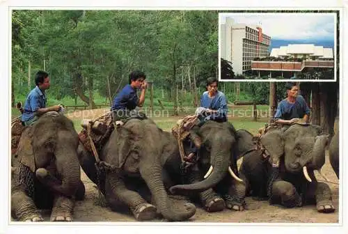 AK / Ansichtskarte  Elefant Chiang Mai North Thailand