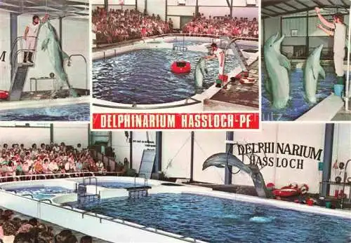 AK / Ansichtskarte  Delphine Dolphins Dauphins Delfines Hassloch Pfalz Holiday Park 