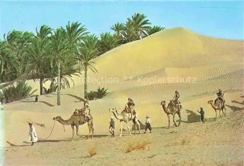 AK / Ansichtskarte  Kamele  Camel Chameau-- Tunesien Karavwan Sahara