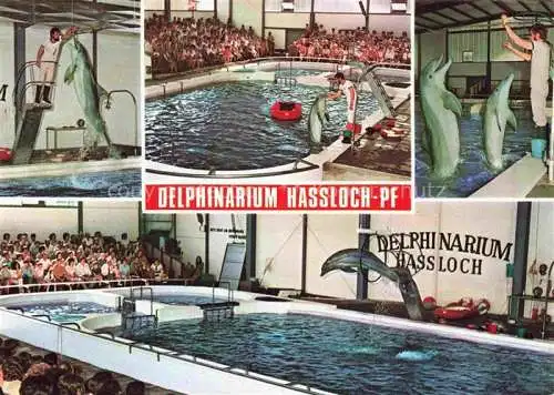 AK / Ansichtskarte  Delphine Dolphins Dauphins Delfines Hassloch Holiday Park  