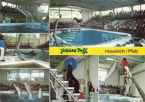 AK / Ansichtskarte  Delphine Dolphins Dauphins Delfines Holiday Park Hassloch Pfalz 