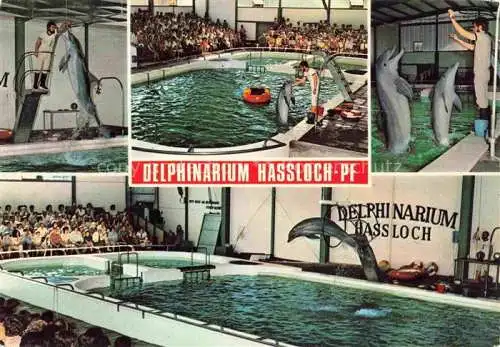 AK / Ansichtskarte  Delphine Dolphins Dauphins Delfines Holiday Park Hassloch Pfalz