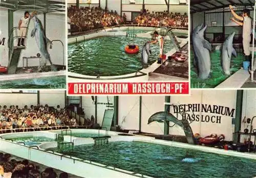 AK / Ansichtskarte  Delphine Dolphins Dauphins Delfines Hassloch Pfalz Holiday Park