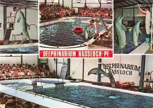 AK / Ansichtskarte  Delphine Dolphins Dauphins Delfines Hassloch Pfalz Holiday Park 