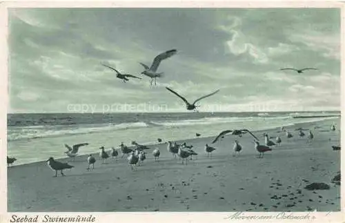 AK / Ansichtskarte  Swinemuende SWINOUJSCIE PL Moewen am Ostseestrand