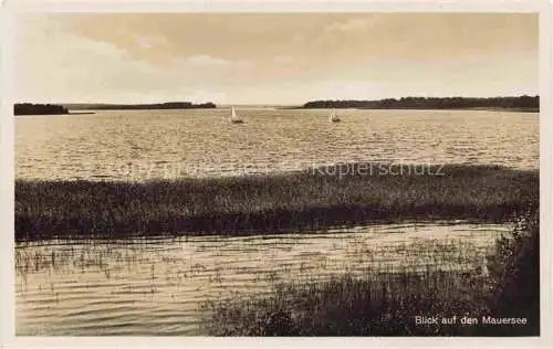 AK / Ansichtskarte  Mauersee Loetzen Masuren Gizycko PL Panorama Blick ueber den See