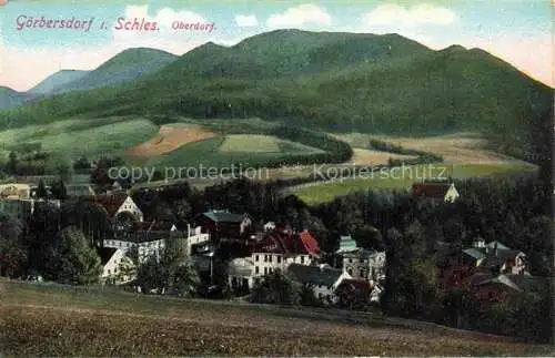 AK / Ansichtskarte  Goerbersdorf  Sokolowsko Schlesien PL Panorama