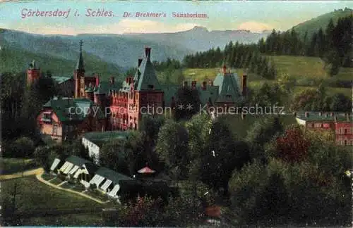 AK / Ansichtskarte  Goerbersdorf  Sokolowsko Schlesien PL Teilansicht mit Dr. Brehmer's Sanatorium