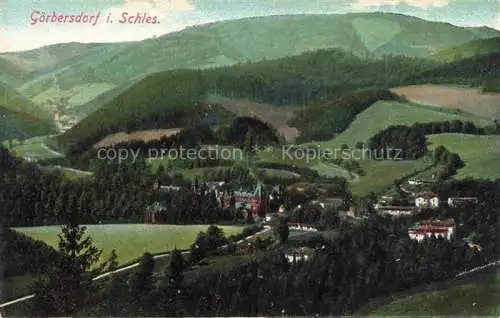 AK / Ansichtskarte  Goerbersdorf  Sokolowsko Schlesien PL Panorama