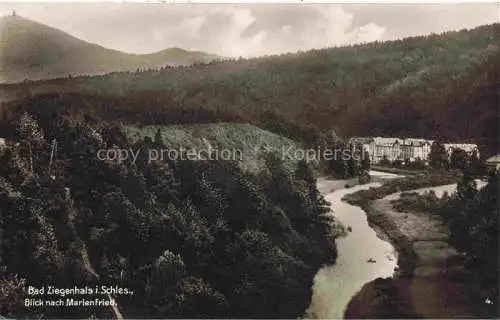 AK / Ansichtskarte  Bad Ziegenhals Glucholazy PL Panorama Blick nach Marienfried