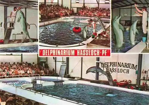 AK / Ansichtskarte  Delphine Dolphins Dauphins Delfines Hassloch Pfalz Holiday Park