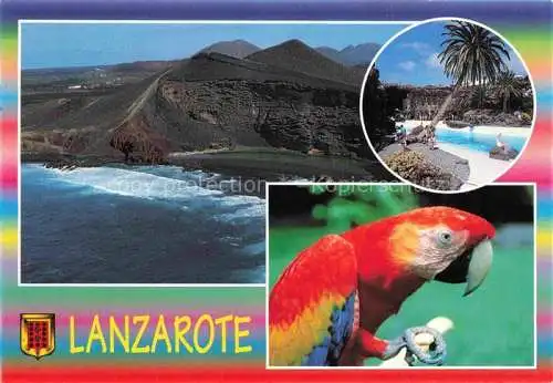 AK / Ansichtskarte  Papagei Lanzarote Islas Canarias