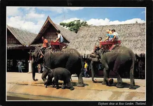 AK / Ansichtskarte  Elefant Thailand Rose Garden