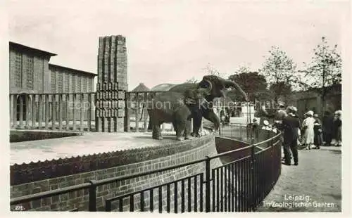 AK / Ansichtskarte  Zoo Gardin Zoologique-- Leipzig Elefanten