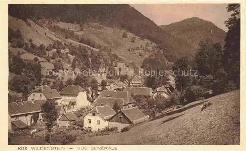 AK / Ansichtskarte  Wildenstein La Bresse 68 Haut-Rhin Vue generale