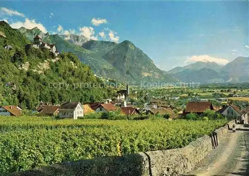 AK / Ansichtskarte  Vaduz Liechtenstein FL Panorama Alpen