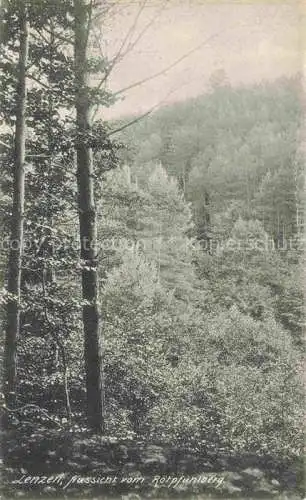 AK / Ansichtskarte  Lenzen Elbe Prignitz Brandenburg Aussicht vom Roetpfuhlberg Partie im Wald Natur Landschaft