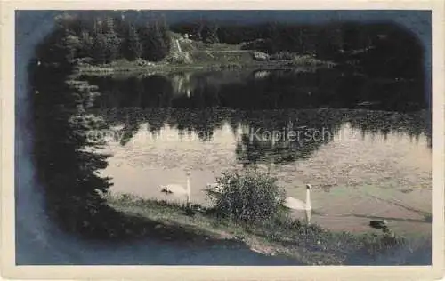 AK / Ansichtskarte  Bad Polzin Polczyn-Zdroj PL Partie am Wasser Schwaene