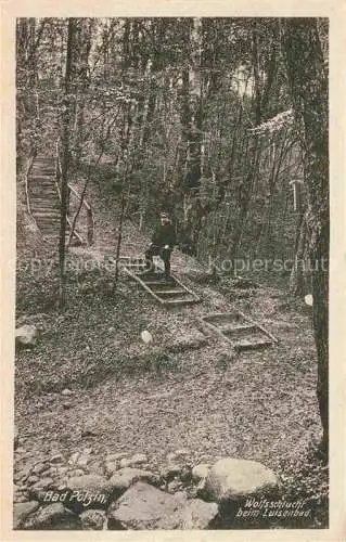 AK / Ansichtskarte  Bad Polzin Polczyn-Zdroj PL Wolfsschlucht beim Luisenbad Waldpartie