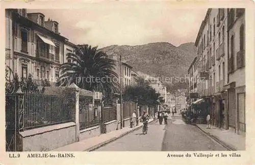 AK / Ansichtskarte  Amelie-les-Bains-Palalda 66 Pyrenees-Orientales Avenue du Vallespir et les villas