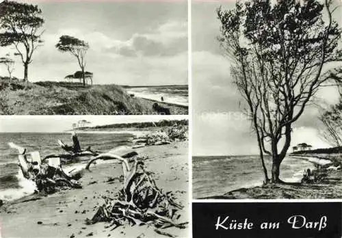 AK / Ansichtskarte  Darss Region Ostsee Kuestenpanorama Strand