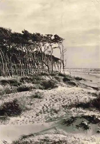 AK / Ansichtskarte  Darss Region Ostsee Weststrand