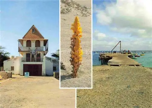 AK / Ansichtskarte  Santa Maria Capua Vetere Caserta IT Wohnhaus Pflanze Strand Steg