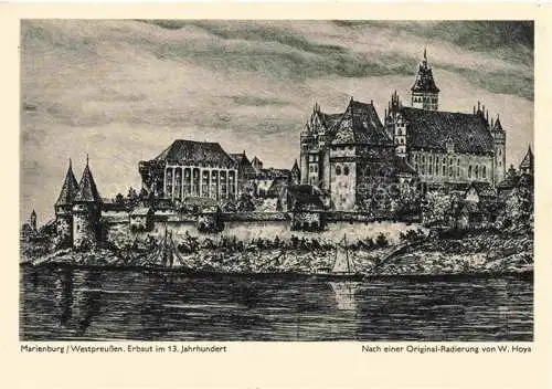 AK / Ansichtskarte  Marienburg   Westpreussen MALBORK PL Burg 13. Jhdt. nach einer Originalradierung von W. Hoya Kuenstlerkarte