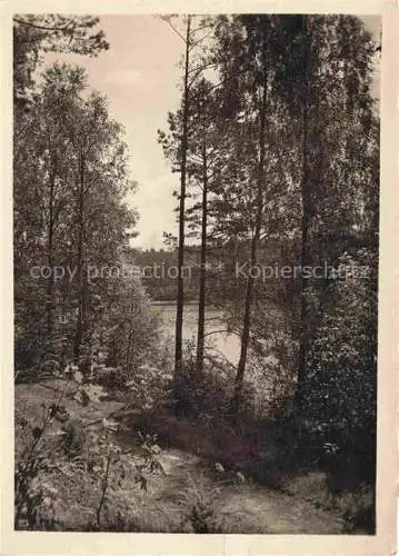 AK / Ansichtskarte  Pillauken Pilawki Liebemuehl Milomlyn PL Silbersee Serie Ostpreussische Landschaft Einsamkeit im Walde